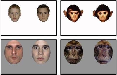 Is Visual Perceptual Narrowing an Obligatory Developmental Process?